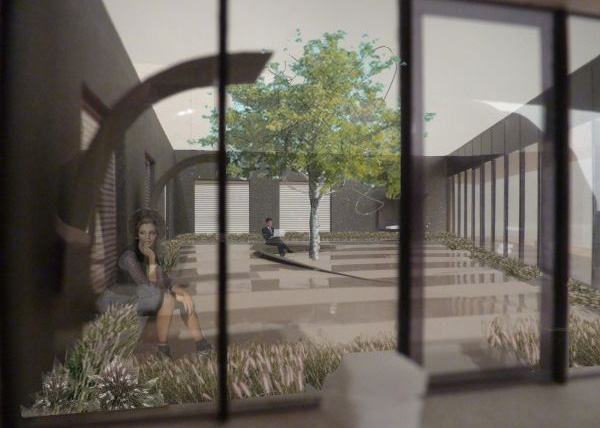 ontwerp binnentuin met graskader en gleditia vescom in Deurne